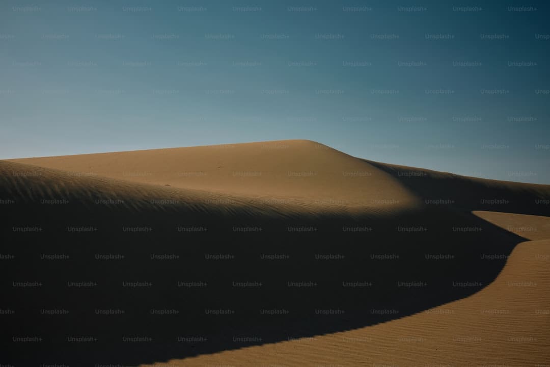 漳浦开渔 千帆竞发赴蓝海